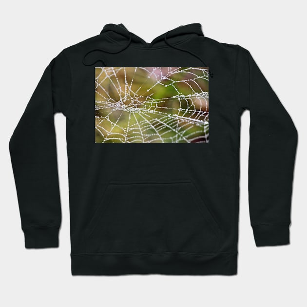 Nature's Pearls (#2) Hoodie by photoclique